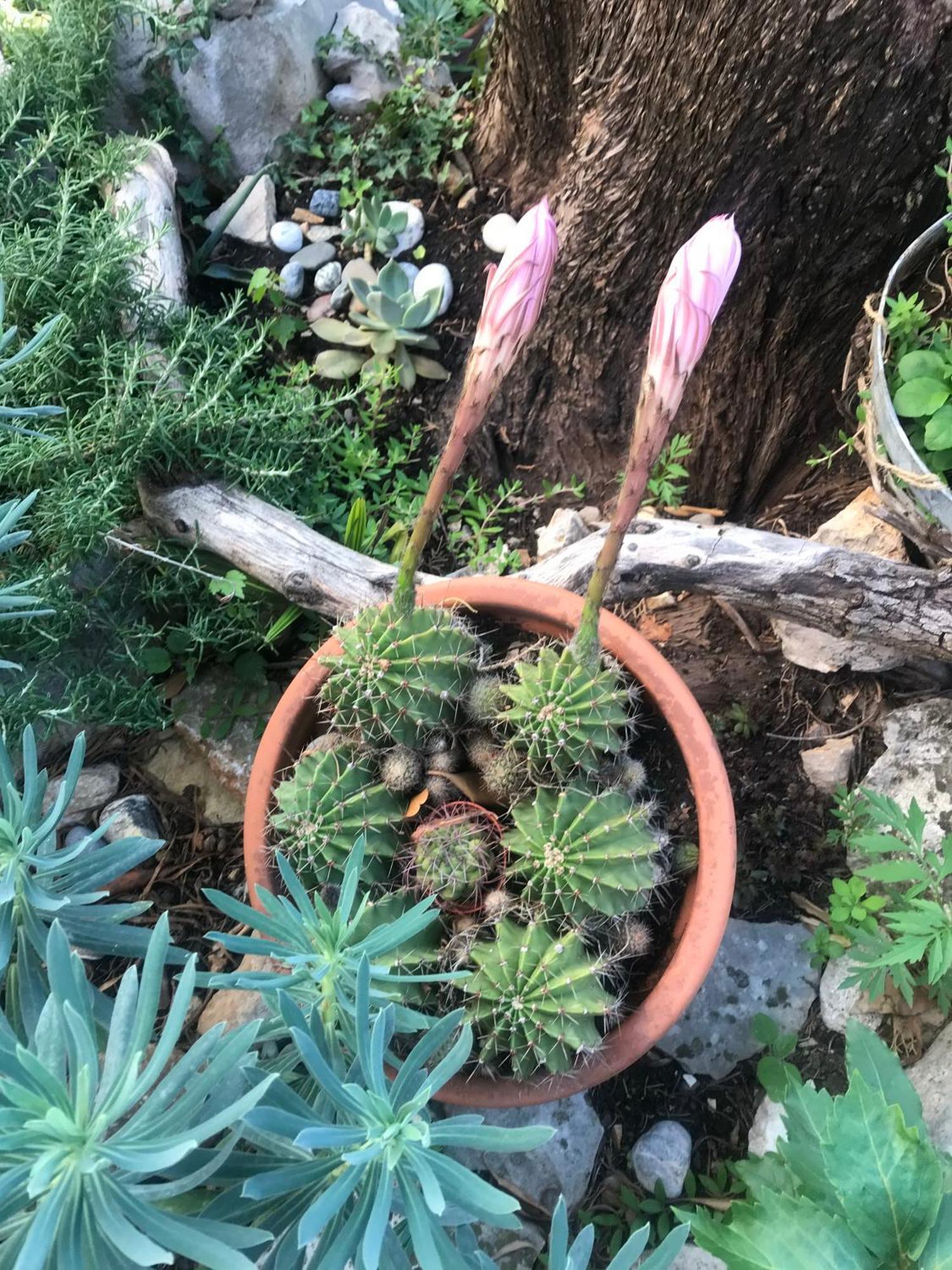 House Neytiri Selce Villa Bagian luar foto